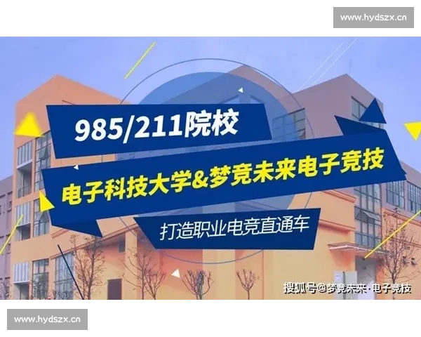 从海岛到赛场,这片电竞沃土孕育着怎样的未来 从海岛到赛场,这片电竞沃土孕育着怎样的未来